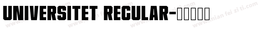 Universitet Regular字体转换